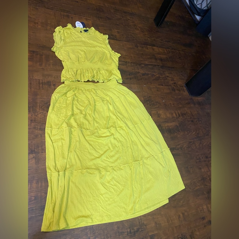 NWT 2 pc skirt set